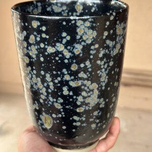 img 1344